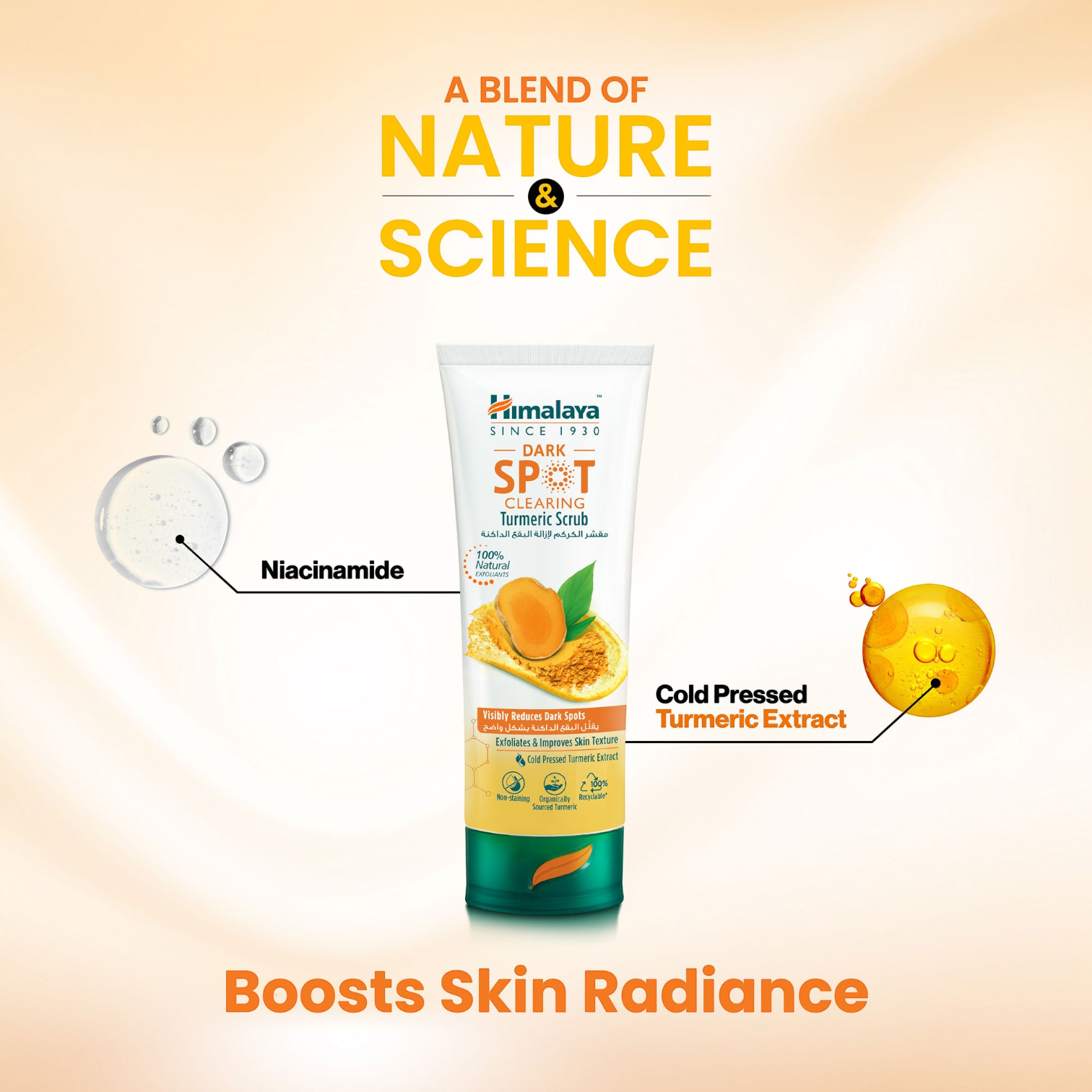 Himalaya Dark Spot Clearing Turmeric Scrub – Exfoliates Dead Skin, Reduces Dark Spots & Boosts Radiance with Turmeric, Licorice & Niacinamide (75ml) - Damoo