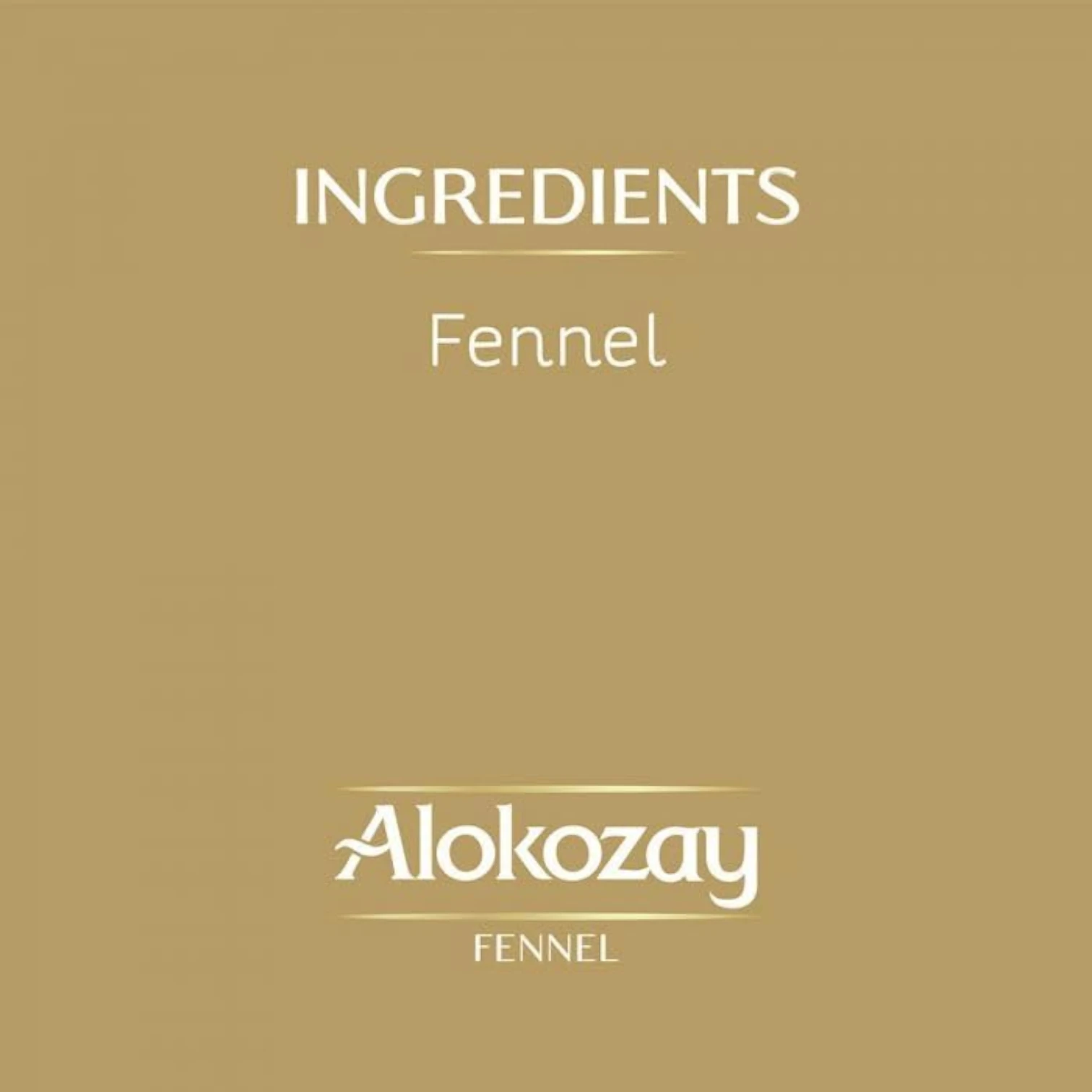 Alokozay Fennel Herbal Tea – 100% Natural Caffeine-Free Infusion | 25 Individually Foil-Wrapped Tea Bags | Soothing Digestive Tea Imported from Canada - Damoo