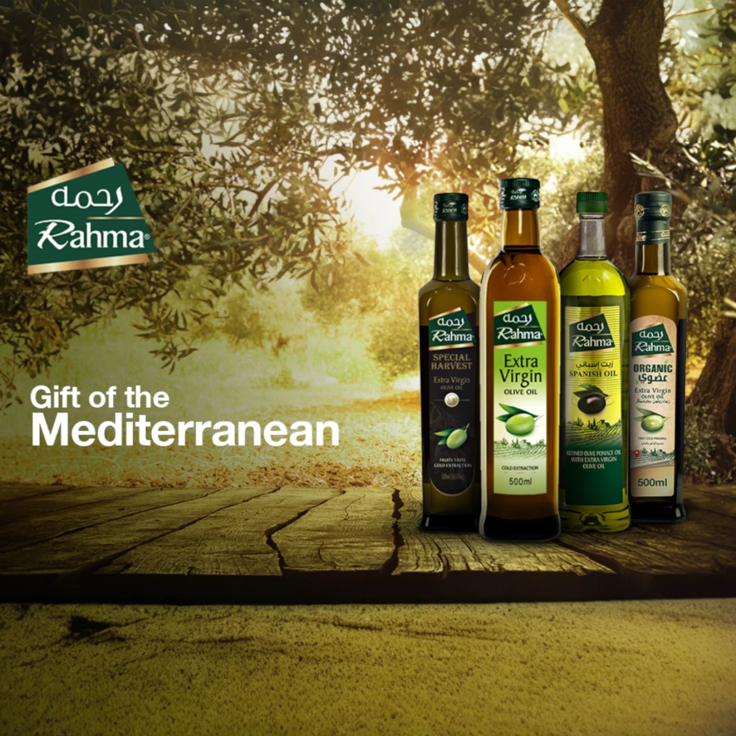 Rahma Refined Olive Pomace Oil with Extra Virgin Olive Oil – 1 Liter | Rich in Vitamins A & E, Zero Cholesterol, Versatile for Cooking & Beauty - Damoo