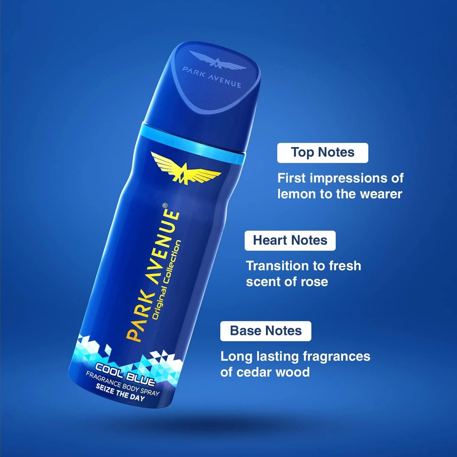 Park Avenue Cool Blue Men’s Deodorant Body Spray – Fresh & Energizing Long-Lasting Fragrance, Everyday Confidence & Odor Protection, Stylish Blue Packaging, 100g - Damoo
