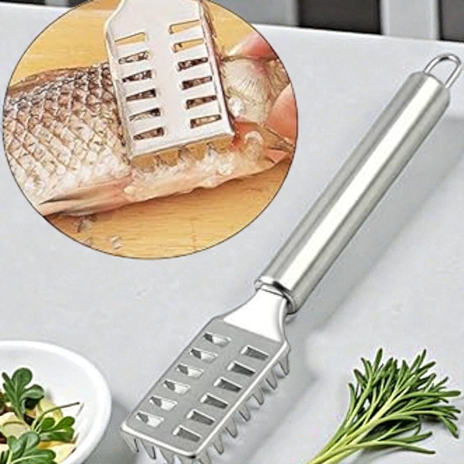 Stainless Steel Fish Scale Remover & Scraper with Serrated Teeth – Heavy-Duty Fish Cleaning Tool for Kitchen & Seafood Prep (19L CM) - Damoo