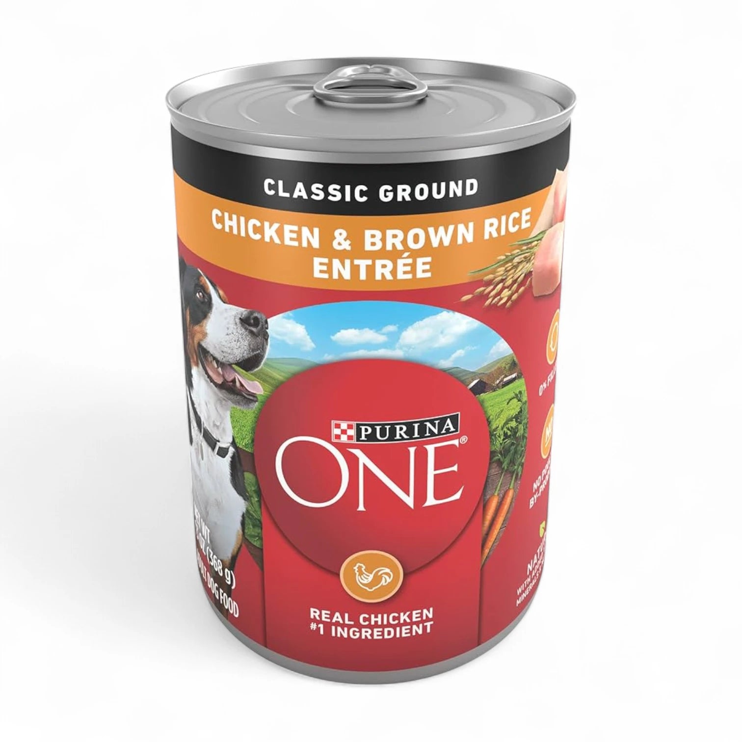 Purina ONE Natural Pate Wet Dog Food – SmartBlend Chicken & Brown Rice Entrée, High Protein, Immune Support for Adult Dogs - Damoo
