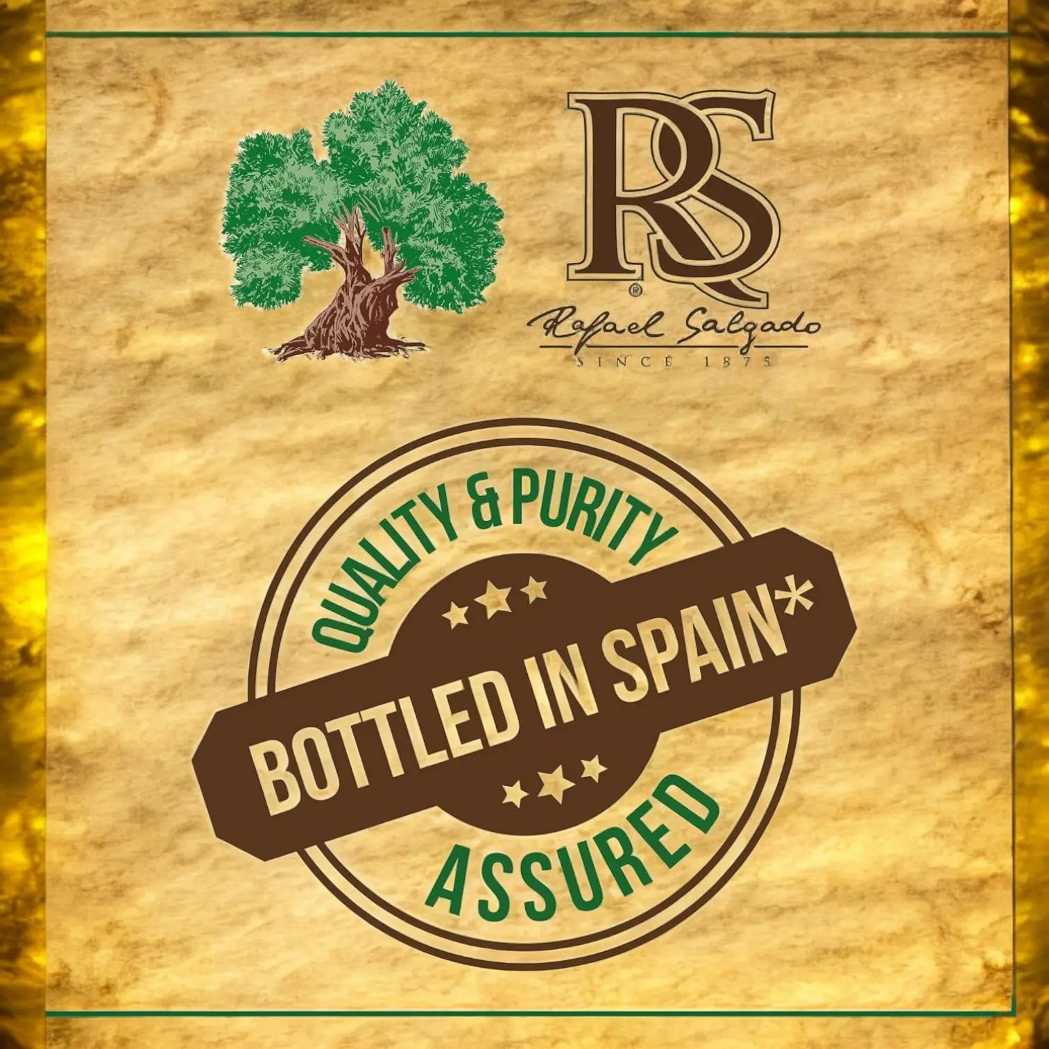 Rafael Salgado Olive Pomace Oil Blended with Extra Virgin Olive Oil – Premium Spanish Cooking Oil, 175ml - Damoo