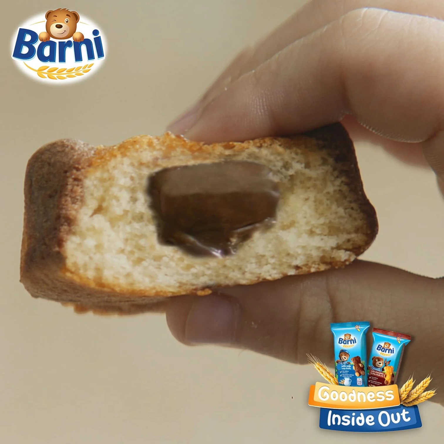 Barni Chocolate-Filled Bear Cake – Pack of 12 x 30g | Soft & Fun-Shaped Snack for Kids – No Preservatives or Artificial Colors - Damoo