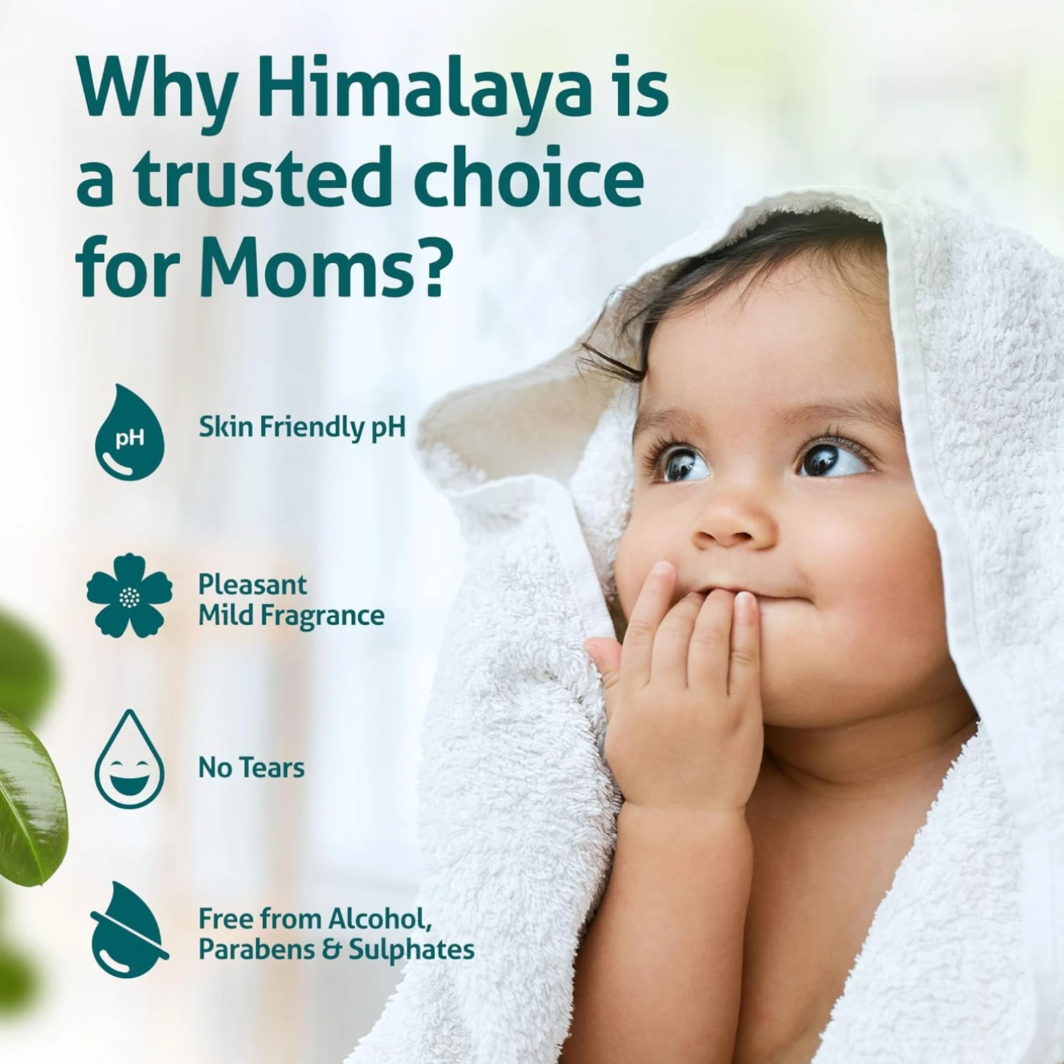 Himalaya No Tears Moisturizing Baby Bath 400ml – Gentle Body Wash with Aloe Vera & Olive Oil | Tear-Free Formula for Newborns & Sensitive Skin | 90.8% Natural Ingredients - Damoo