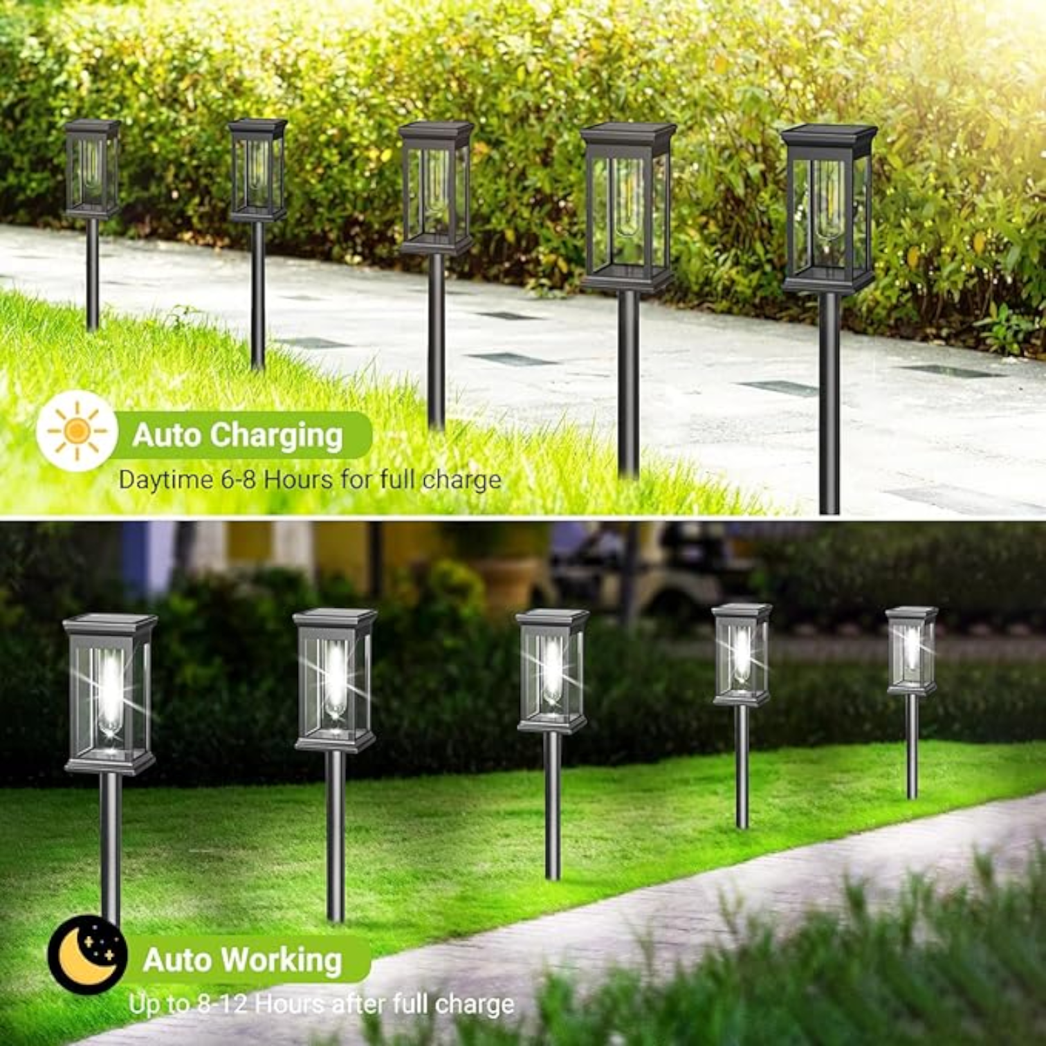 XF-2901 Solar Lawn Lamp – Outdoor Waterproof LED Pathway Light with Automatic Charging & Elegant Garden Decoration - Damoo