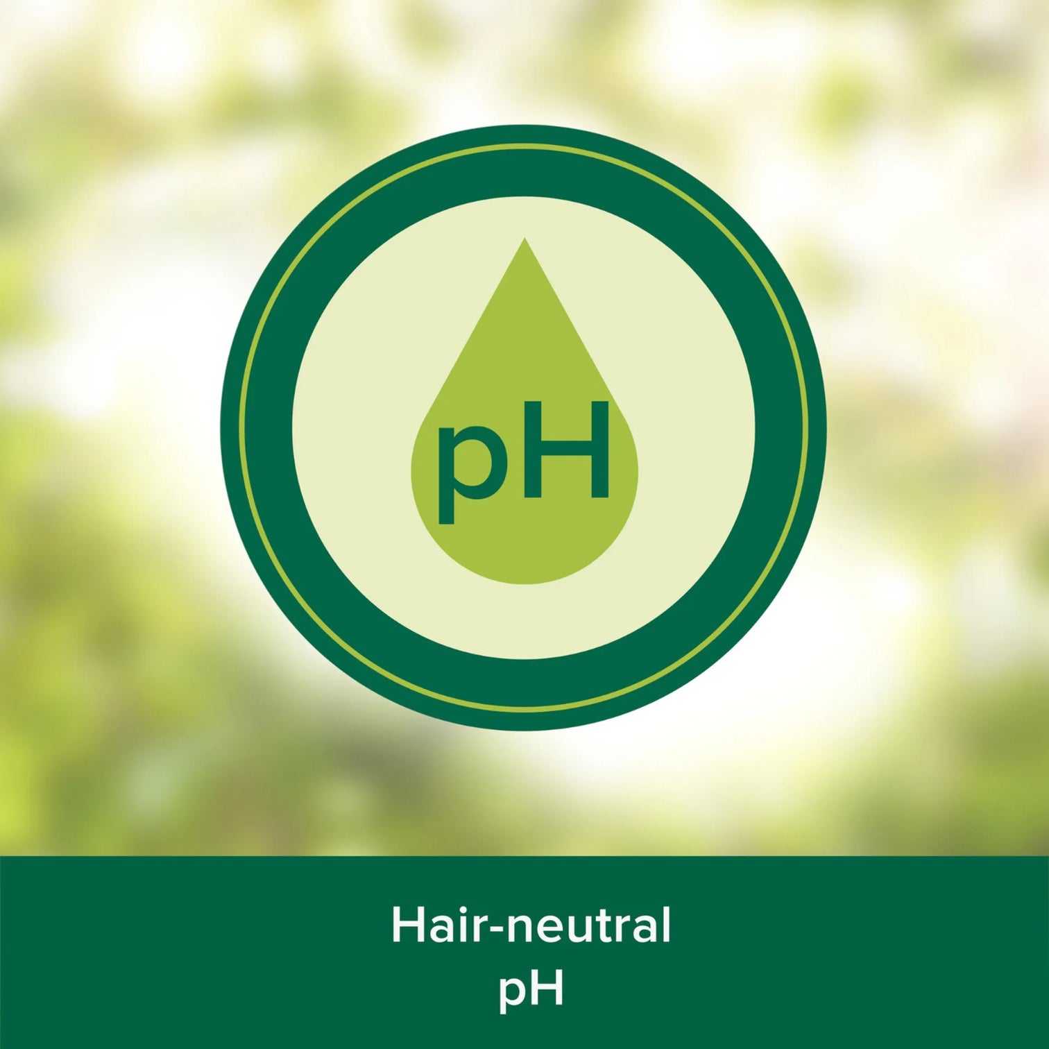 Palmolive Naturals Shampoo 380ml – Available in 3 Variants: Color Shine Pomegranate, Volume Coconut, Santé & Brilliance Black Seed - Damoo