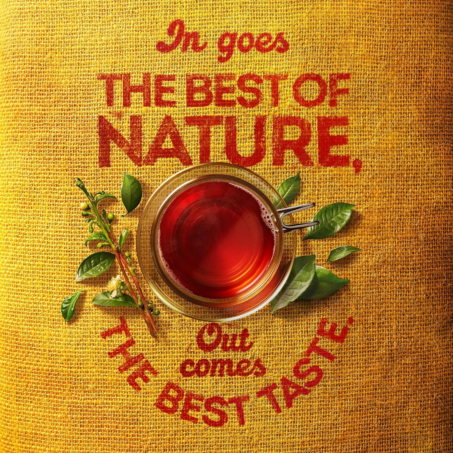 Lipton Yellow Label Black Tea – 100 Teabags | 100% Kenyan Origin | Rich, Bold Flavor with Bright Aroma | Natural & Refreshing | Ideal for Morning Boost & Everyday Hydration | Special Price Pack - Damoo