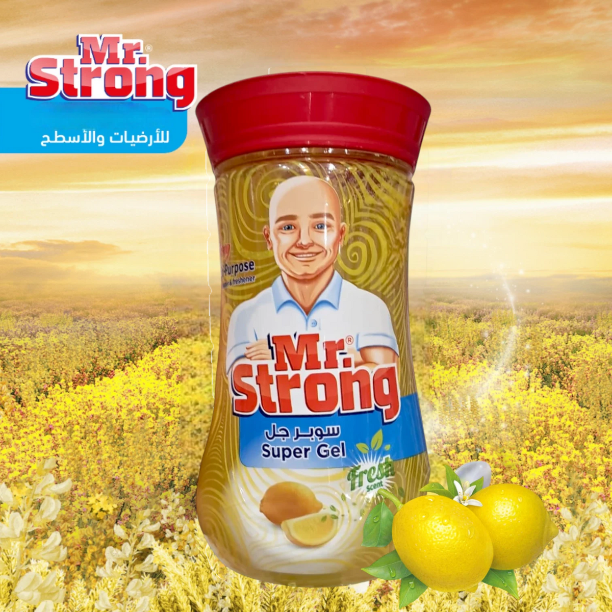 Mr. Strong Super Gel Multi-Purpose Cleaner – Powerful Stain Remover & Surface Shiner – Long-Lasting Fresh Scent – 1kg - Damoo
