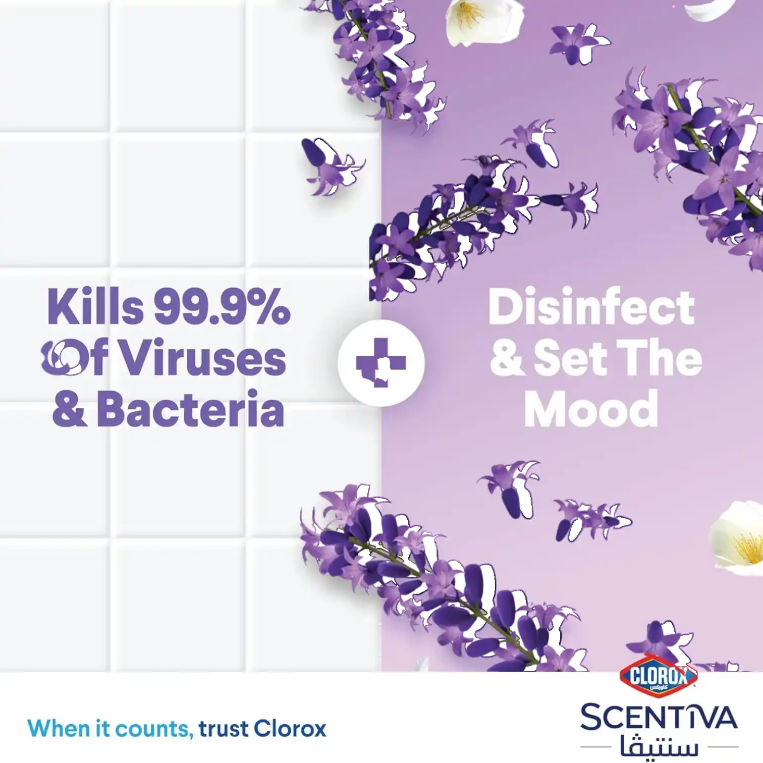 Clorox Scentiva Disinfectant Floor Cleaner – 4.5L Tuscan Lavender Scent, Bleach-Free, Kills 99.9% of Viruses & Bacteria - Damoo