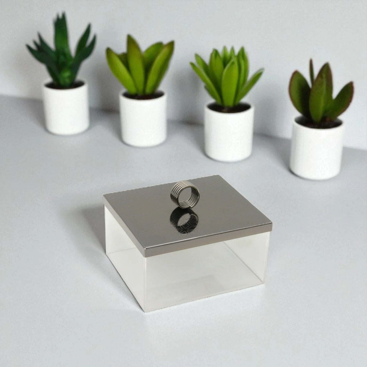 Damoo Modern Acrylic & Metal Serving Box Set – 3-Piece Date, Candy & Nut Containers with Silver Lids & Tray for Coffee Table or Hosting Display - Damoo