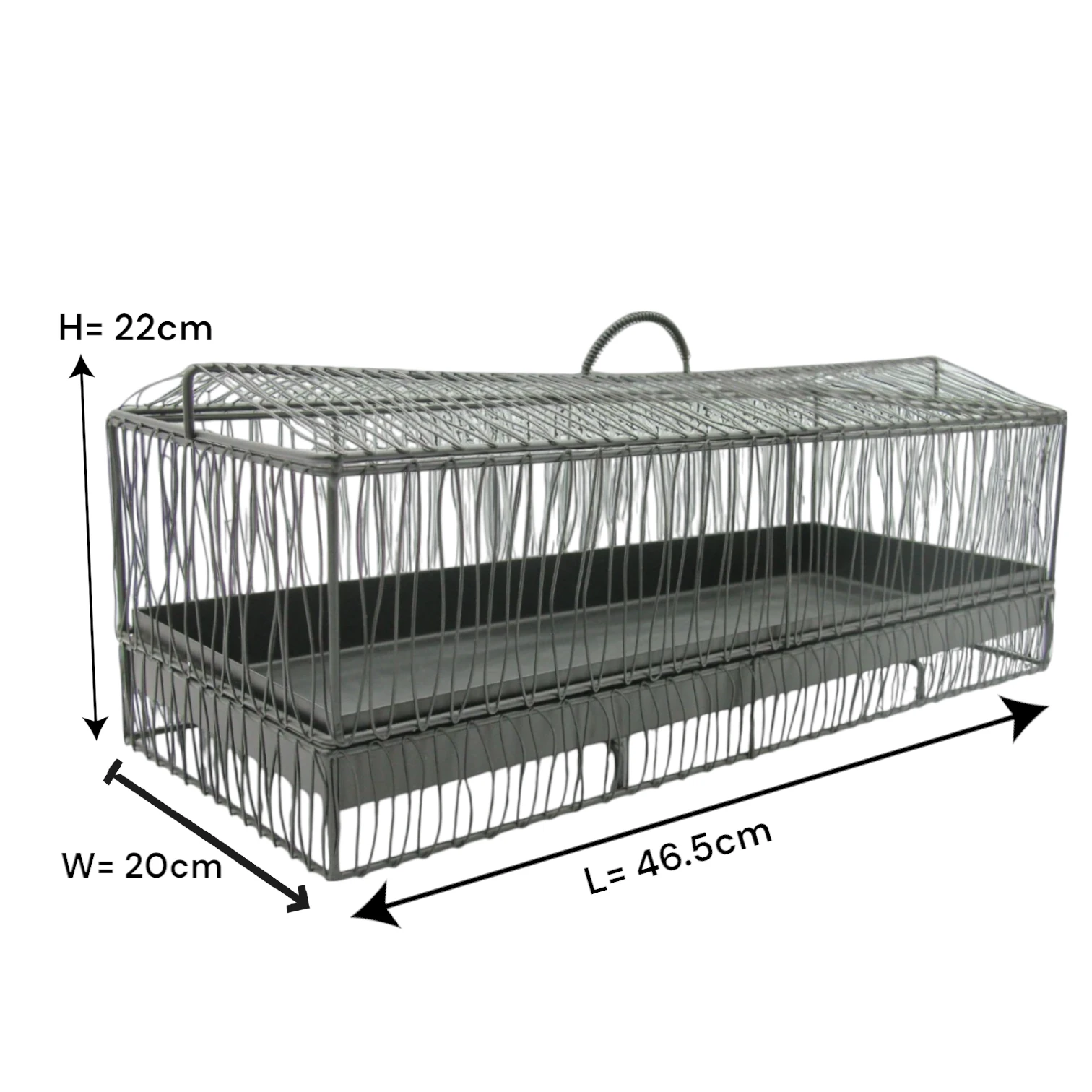 Durable Multipurpose Serving Tray with Shatter-Resistant Base & Insect-Proof Metal Mesh Dome – Ideal for Elegant Fruit, Pastry, and Dessert Presentation Indoors or Outdoors - Damoo
