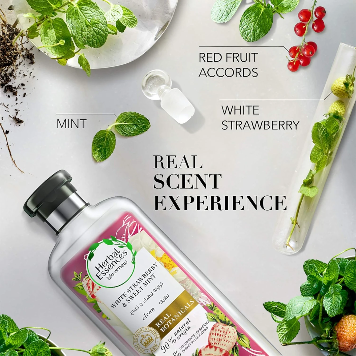 Herbal Essences Bio:Renew White Strawberry & Mint Shampoo + Conditioner Set | 2 x 400ml | Sulfate-Free for Voluminous, Refreshing Hair - Damoo