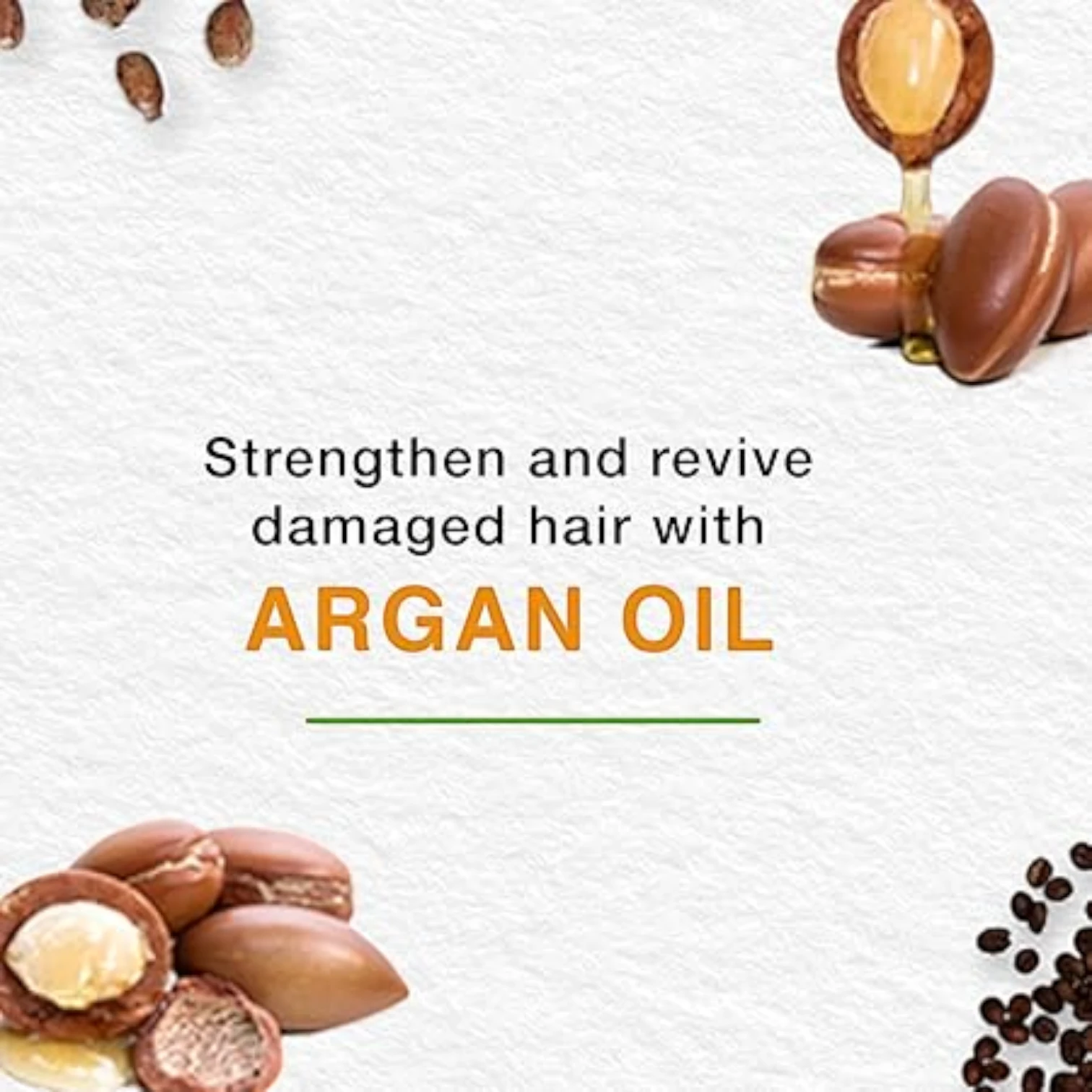 Himalaya Repair & Regenerate Shampoo| With Argan Oil | Strengthens & Revives Damaged Hair | Paraben-Free - Damoo
