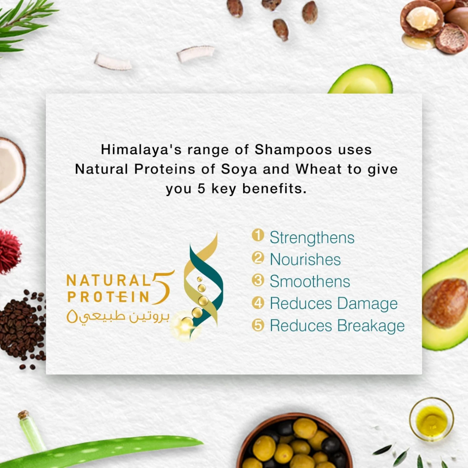 Himalaya Softness & Shine 2-in-1 Daily Care Shampoo | 200ml | Olive Oil for Dry, Dull Hair | Smooth, Shiny & Nourished Hair | Paraben-Free - Damoo