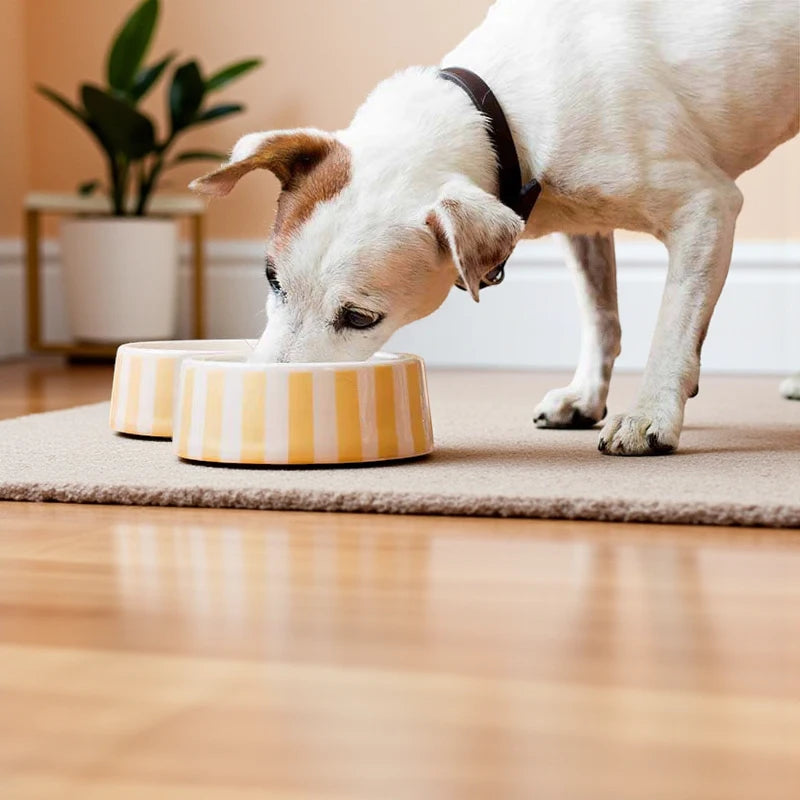 Purina ONE Wet Dog Food – Beef & Brown Rice Entrée Classic Ground – Real Beef #1 Ingredient – 368g Can - Damoo