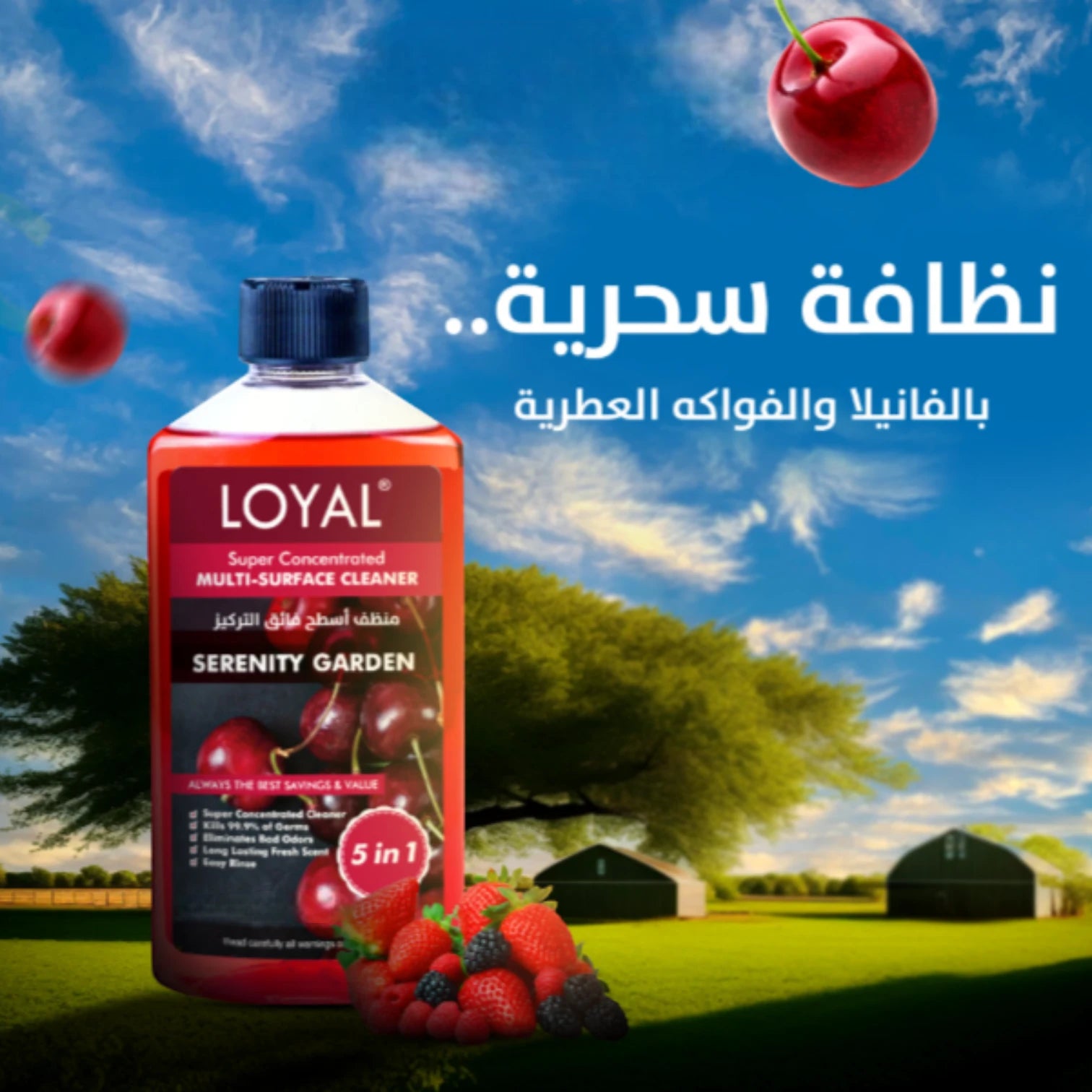 LOYAL Super Concentrated Deodorizer & Cleaner – Serenity Garden | 5-in-1 Multi-Surface Formula, Disinfects, Deodorises & Refreshes - Damoo