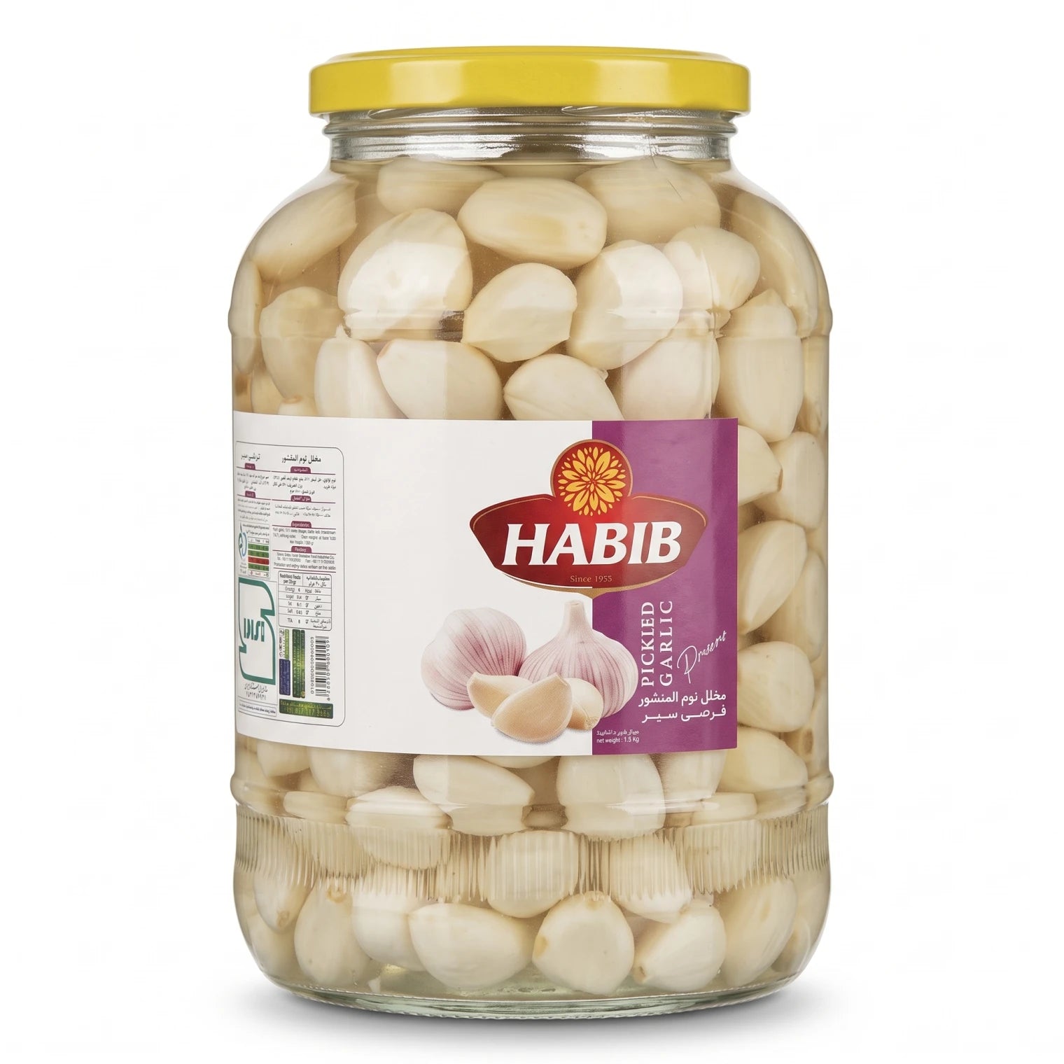 Habib Pickled Garlic 1.5 KG – Peeled Garlic Cloves in Liquid | Glass Jar | Arabic and English Label