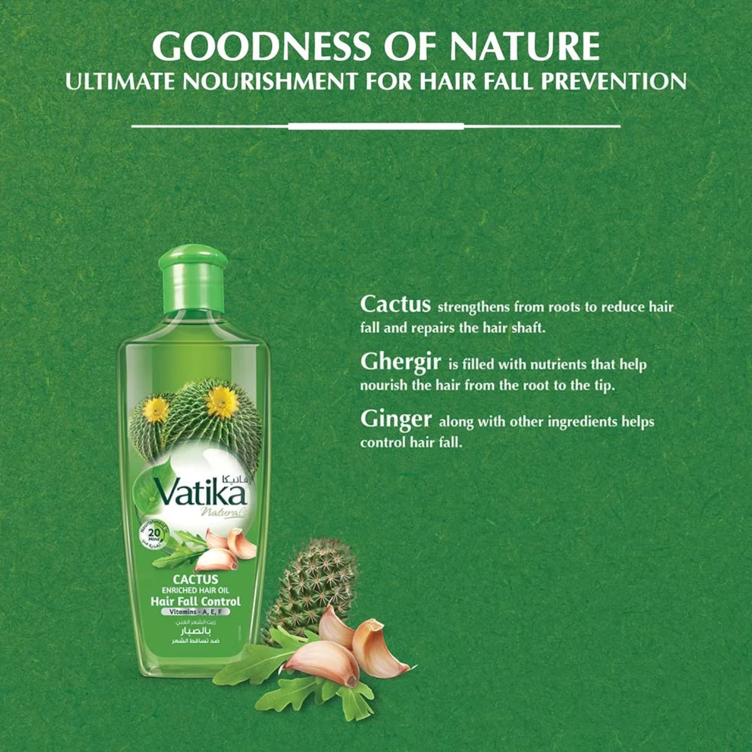 Vatika Naturals Cactus Enriched Hair Oil – 300ml | With Cactus, Ginger & Garlic Extracts | Strengthens Hair, Reduces Breakage & Boosts Shine | Sulphate & Paraben Free | For All Hair Types - Damoo