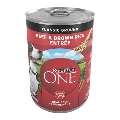 Dog Food & Supplies
