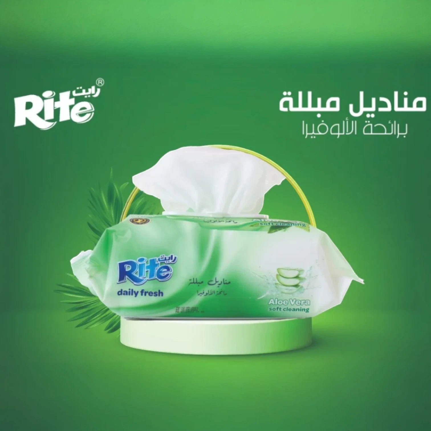 مناديل رايت المبللة برائحة الصبار - ١٤٤ منديلًا | مناديل سميكة وناعمة وخالية من الكحول متعددة الاستخدامات للاستخدام العائلي