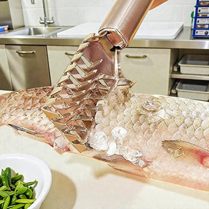Stainless Steel Fish Scale Remover & Scraper with Serrated Teeth – Heavy-Duty Fish Cleaning Tool for Kitchen & Seafood Prep (19L CM) - Damoo
