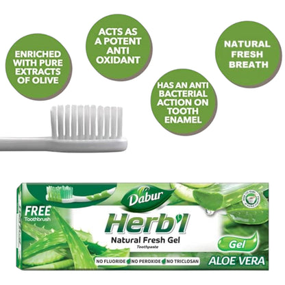 Dabur Herbal Aloe Vera Germ Kill Toothpaste 150g with Eco-Friendly Toothbrush – Natural Antibacterial Protection - Fluoride-Free, Triclosan-Free, Peroxide-Free – For Fresh Breath, Strong Gums & Cavity Control - Damoo