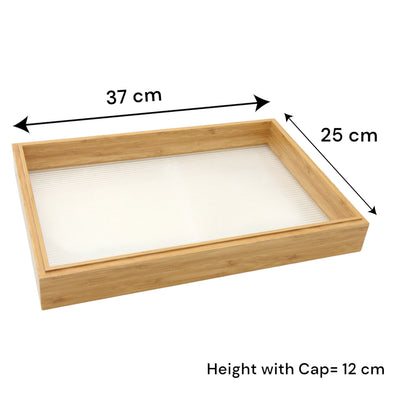 6-Section Clear Snack Serving Tray with Lid – Multipurpose Organizer for Dried Fruits, Nuts, Candy, Jewelry & More - Damoo