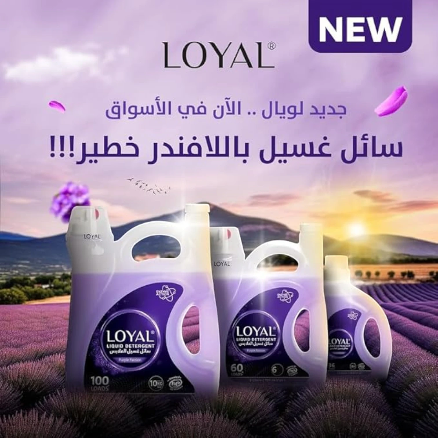 Loyal Liquid Detergent Purple Passion – 3 Ltr (60 Loads) – Enzyme Action for Tough Stains & Long-Lasting Freshness - Damoo