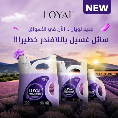 Loyal Liquid Detergent Purple Passion – 3 Ltr (60 Loads) – Enzyme Action for Tough Stains & Long-Lasting Freshness - Damoo