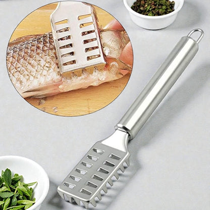 Stainless Steel Fish Scale Remover & Scraper with Serrated Teeth – Heavy-Duty Fish Cleaning Tool for Kitchen & Seafood Prep (19L CM) - Damoo