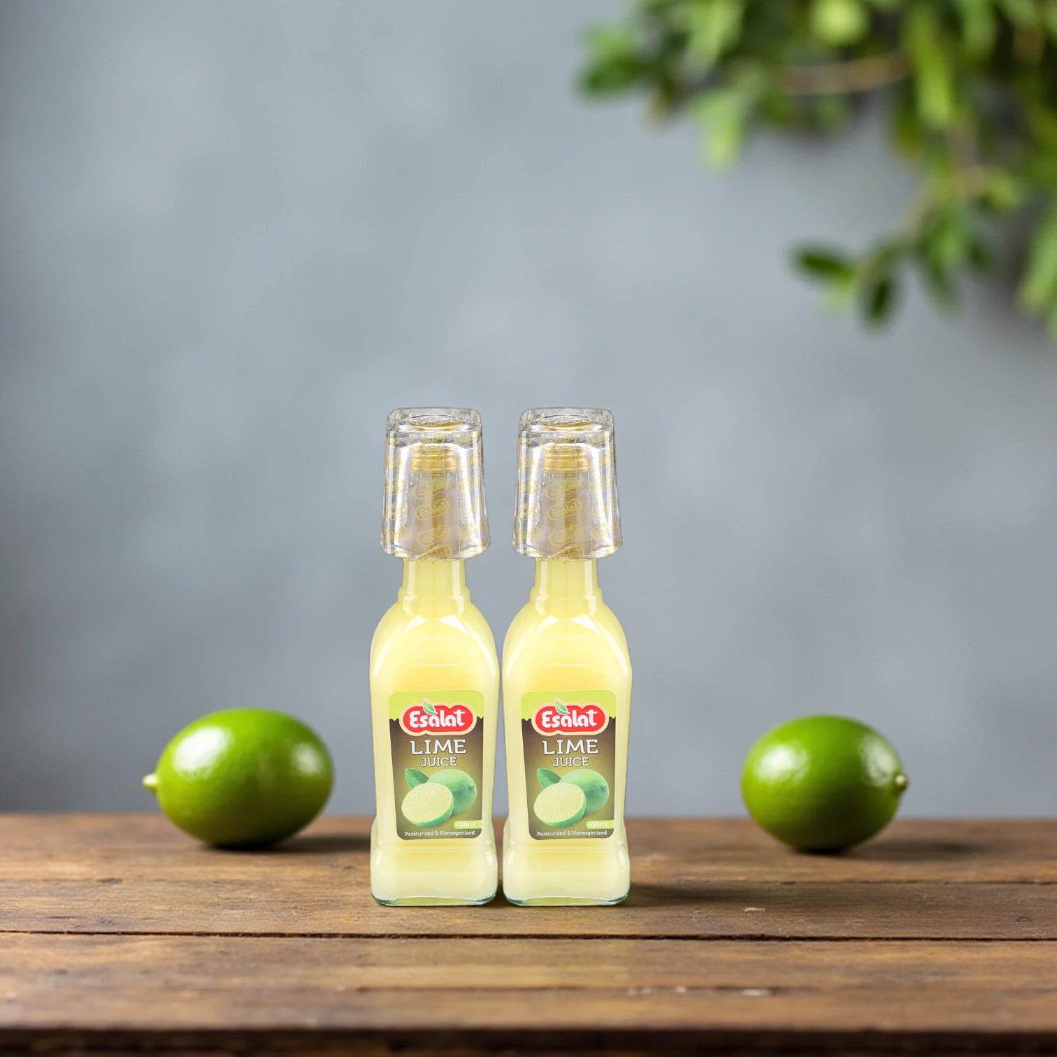 Esalat Lime Juice – 2 x 430ml Bottles – Natural Lemon & Lime Juice for Cooking, Salads & Refreshing Drinks - Damoo