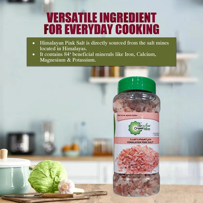 Organic Spices Himalayan Pink Salt 500g – Natural Mineral Rich Rock Salt with No Anti-Caking Agents for Cooking Seasoning Grilling Marinades & Daily Kitchen Use - Damoo