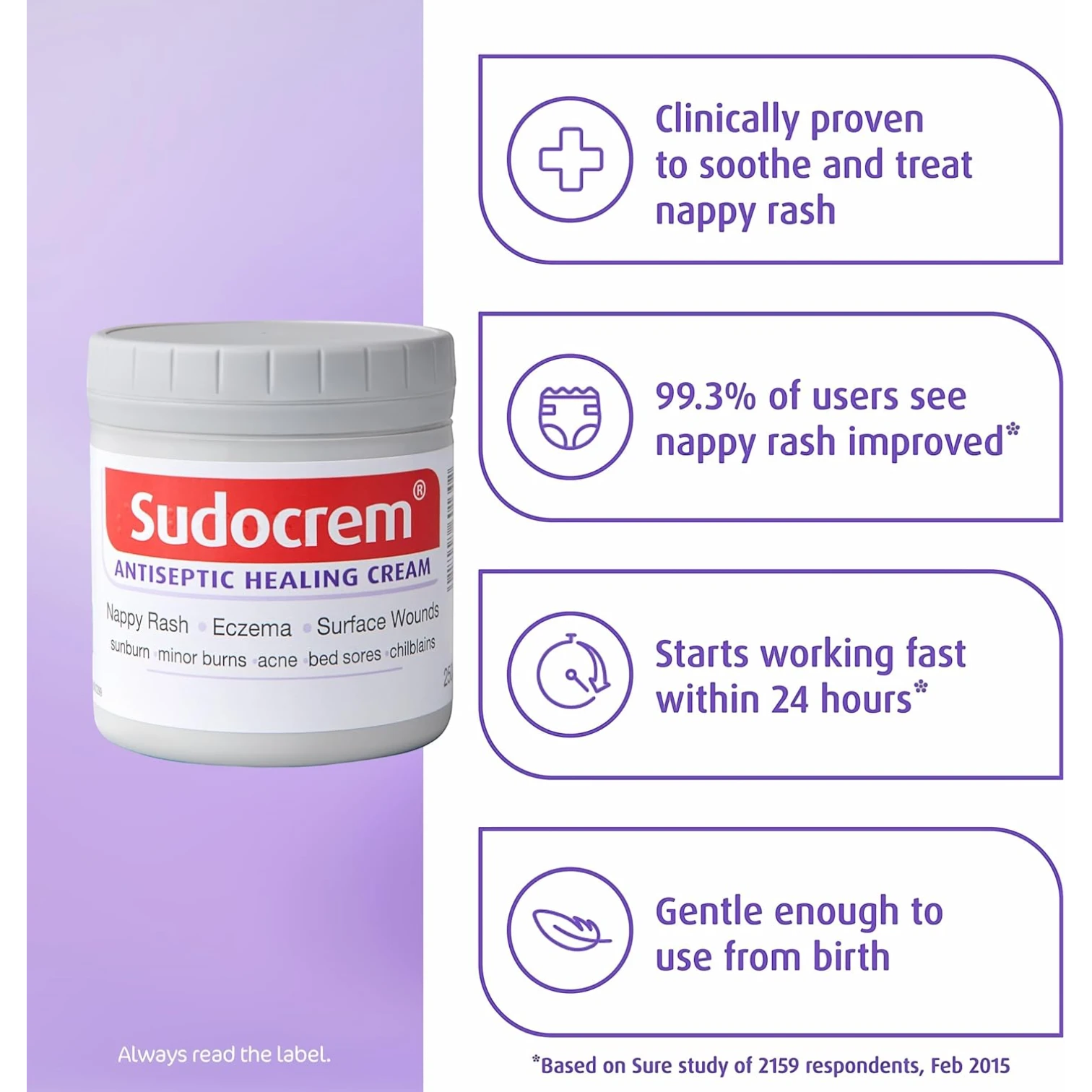 Sudocrem Antiseptic Healing Cream 250g – Multi-Purpose Cream for Babies | Soothes Diaper Rash, Cuts & Minor Burns - Damoo