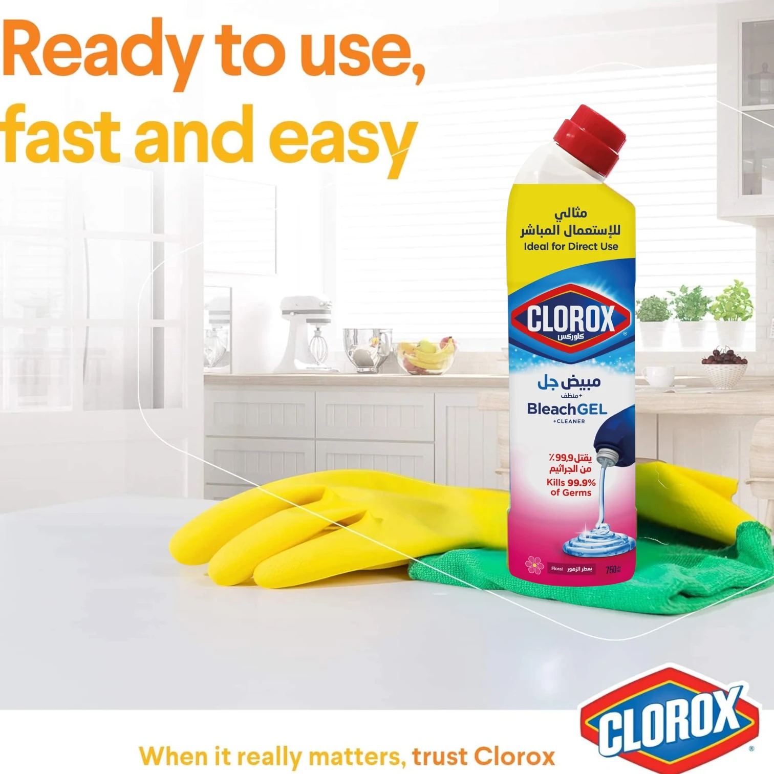Clorox Bleach Gel Cleaner 750ml Floral Magic – Thick Formula Multi-Purpose Disinfectant for Bathroom, Kitchen, Floors & Laundry Stain Removal - Damoo