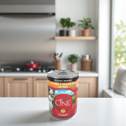 Purina ONE Natural Pate Wet Dog Food – SmartBlend Chicken & Brown Rice Entrée, High Protein, Immune Support for Adult Dogs - Damoo