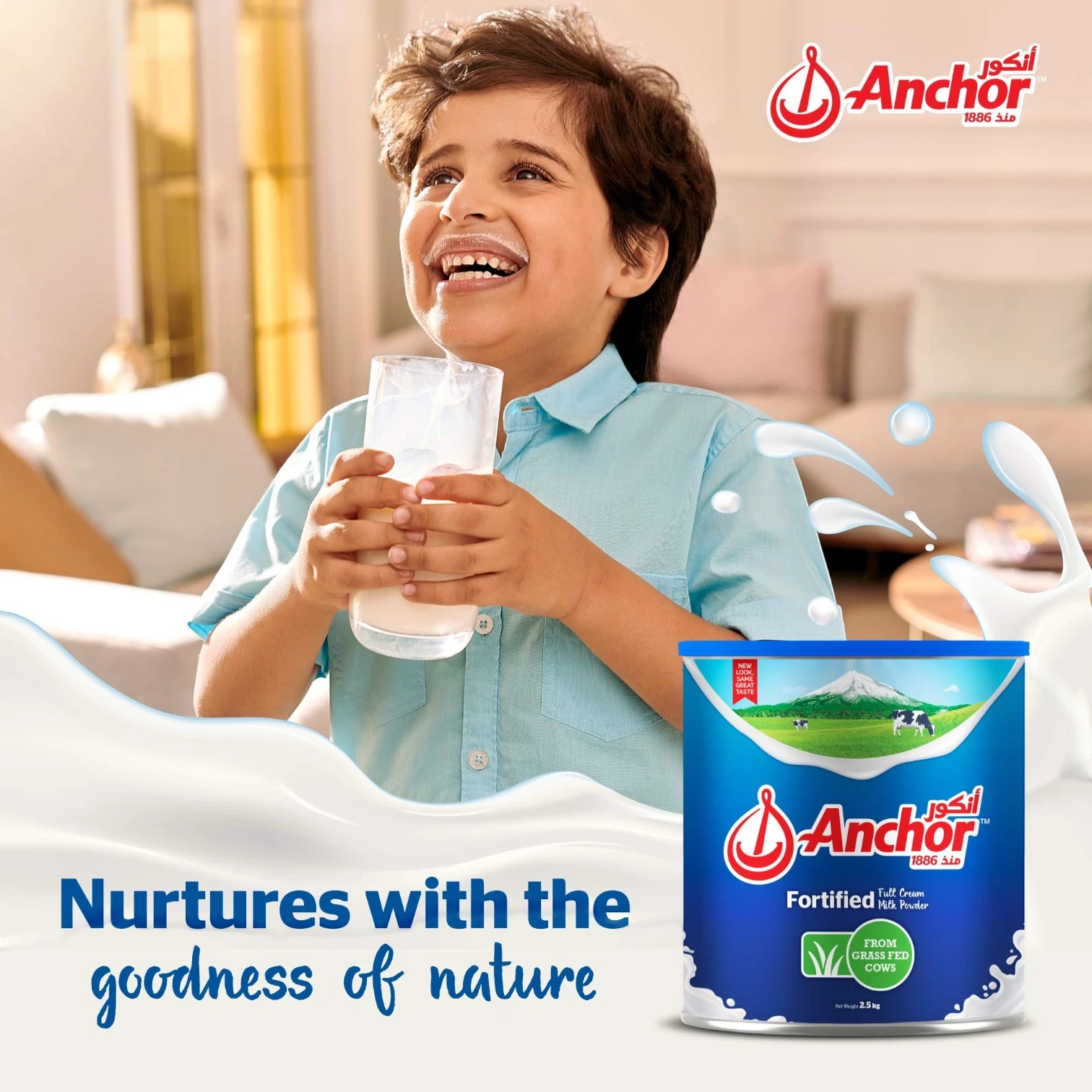 Anchor Fortified Full Cream Milk Powder 2.25kg – Instant Milk from Grass-Fed Cows with Calcium, Vitamins A C D B12 & Iron – Premium Family Nutrition Value Pack - Damoo
