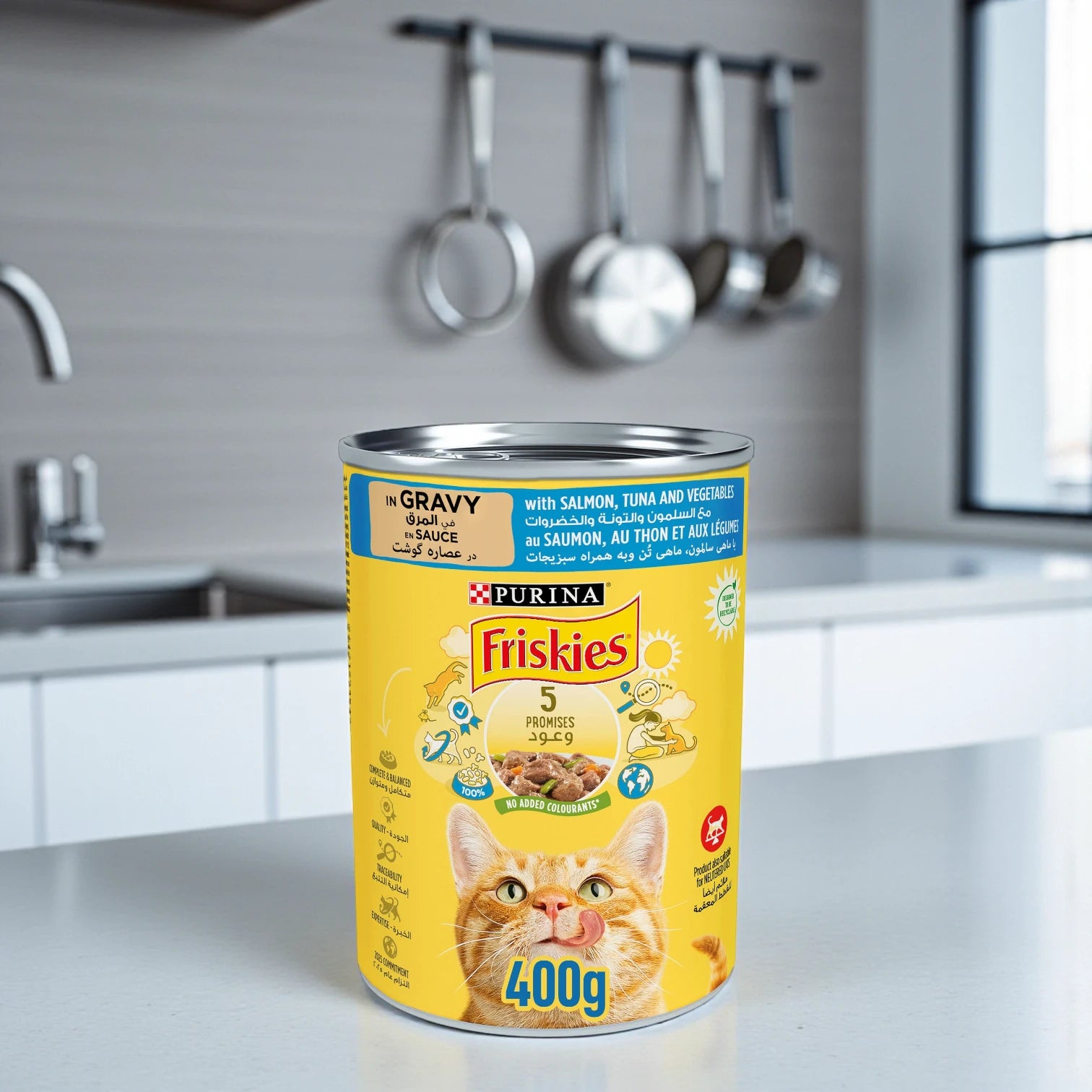 Friskies Wet Cat Food – Salmon, Tuna & Vegetables in Gravy, 400g | Complete Nutrition for All Life Stages - Damoo