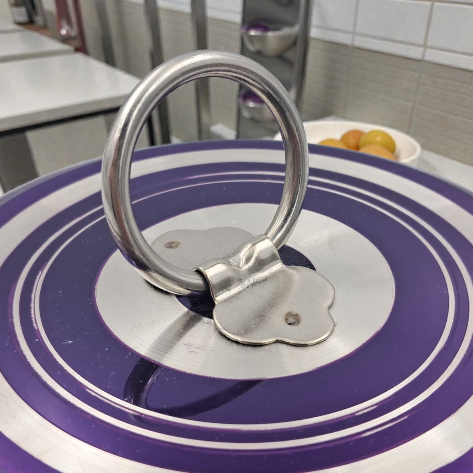 Stainless Steel Food Storage Container with Lid – Purple & Silver Striped Kitchen Bowl for Cooking, Serving & Storage (14H x 13.5L × 13.5W CM) - Damoo