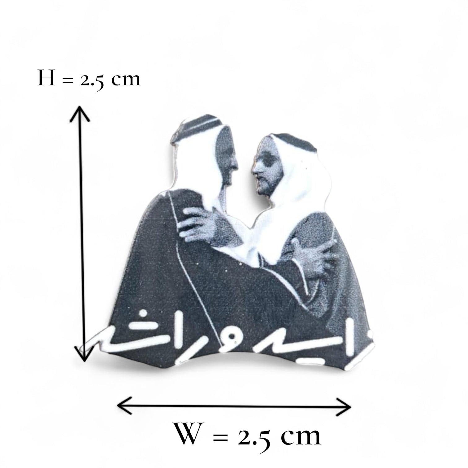 UAE Magnetic Badge – Premium Metal National Day Pin with Strong Magnet – Founders Design Representing Unity & Brotherhood – Elegant Souvenir & Patriotic Gift (H2.5cm x W2.5cm) - Damoo