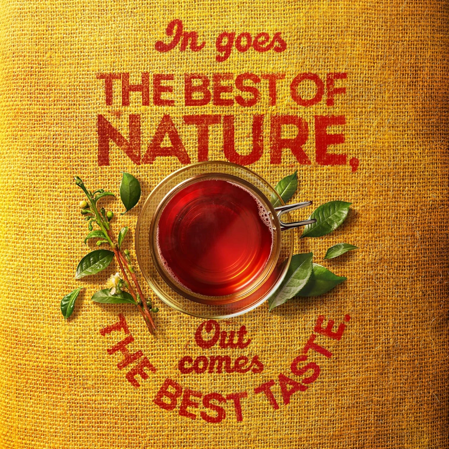 Lipton Yellow Label Black Tea – 200 Teabags | 100% Kenyan Tea Leaves for Bold Flavor & Golden Color | Natural Black Tea with Bright Aroma - Damoo