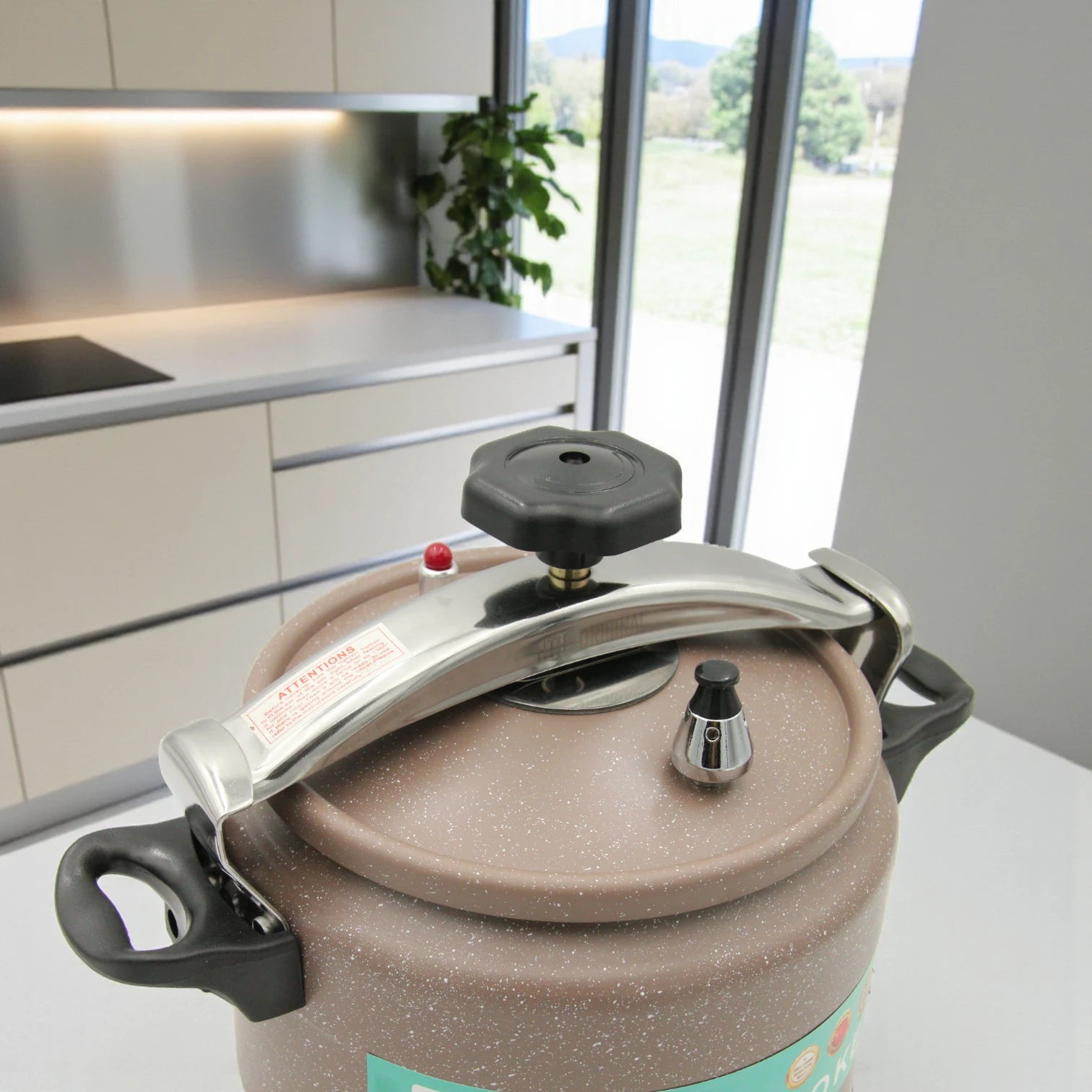 HTH High-Grade Aluminium Pressure Cooker 9L – Durable & Fast Cooking Pot with Secure Lock Lid, Non-Stick Finish, Ideal for Large Families - Damoo