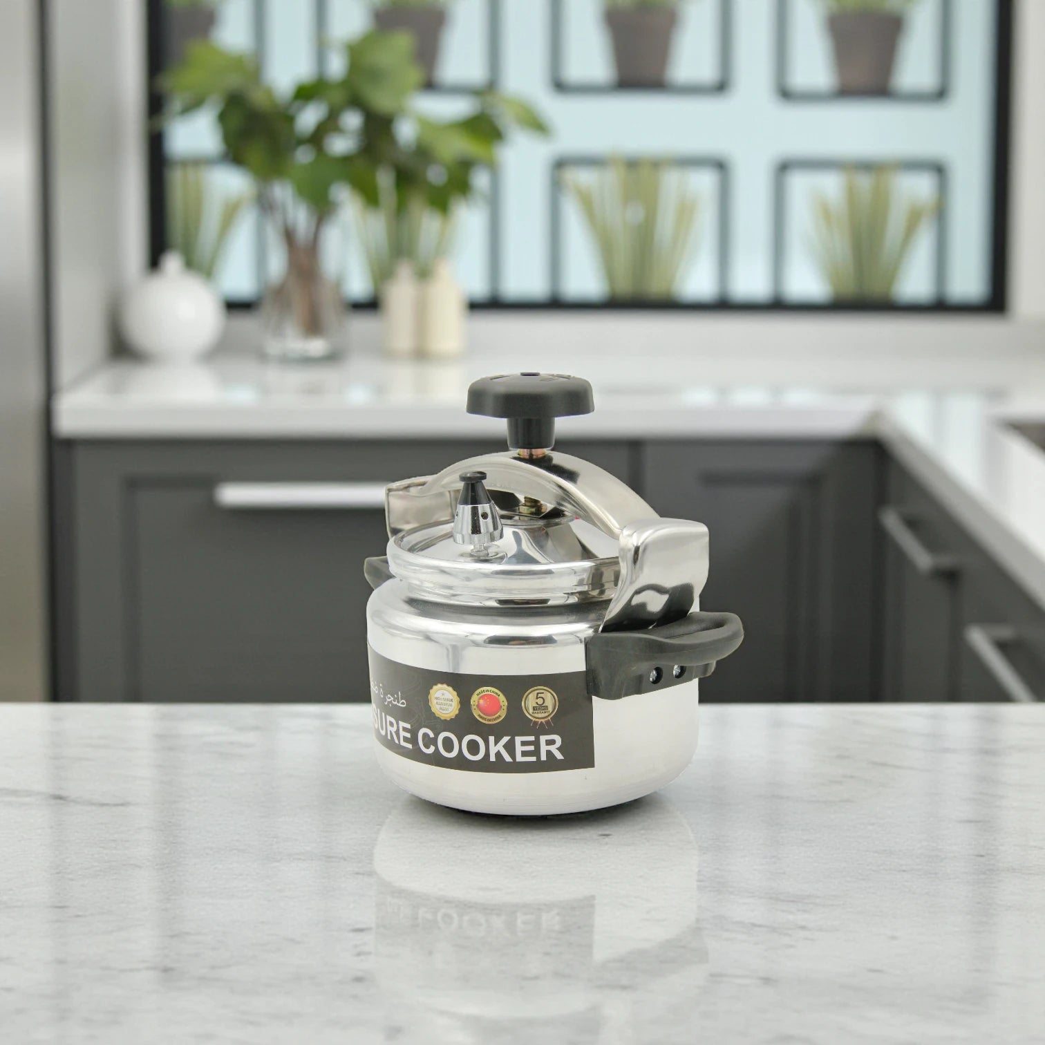 HTH Pressure Cooker – High-Grade Aluminium Alloy, Available in 15 Litres & 3 Litres, Durable Family Size Cooking Pot with Secure Locking Lid, Fast & Efficient Cooking - Damoo