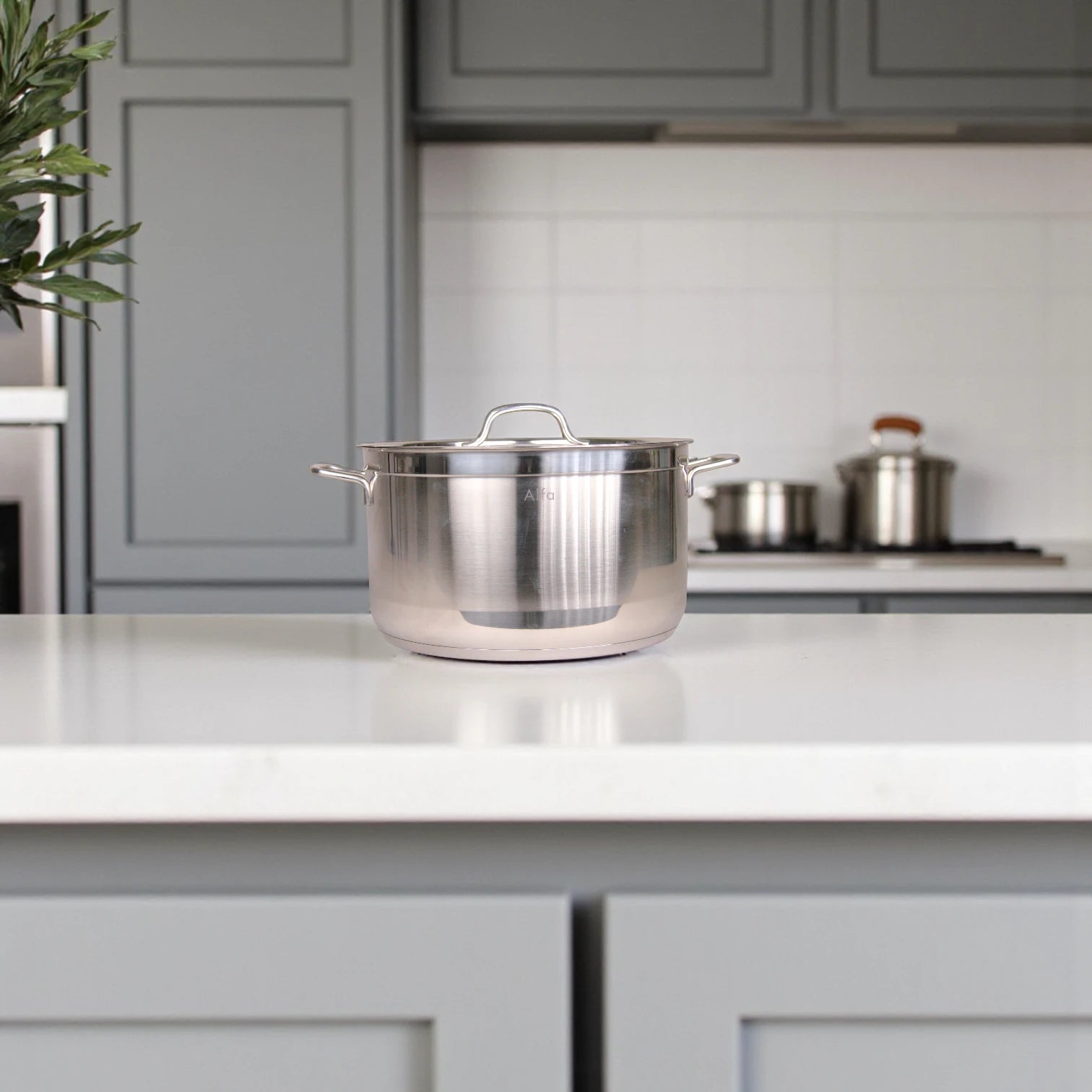 Alfa Stainless Steel Cookware Set HM220 – 6 Pieces, Heavy Duty Triplex Capsule Bottom, Premium 18/10 CrNi Steel Pots with Glass Lids (7.7L + 9.5L + 14.6L) - Damoo