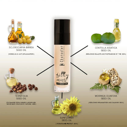 Character Silky Matte Foundation - Haifa (SMF002) | Water-Based, Oil-Free, 86% Skincare Formula, Long-Lasting 8-Hour Coverage, Hydrating & Anti-Inflammatory - Damoo