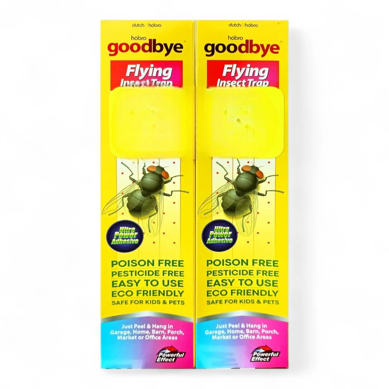 Dutch & Habro Goodbye Flying Insect Trap – Ultra Sticky Fly & Mosquito Catcher, Eco-Friendly & Poison-Free (Pack of 2) - Damoo