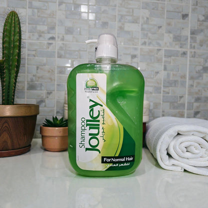 Joulley Shampoo 2 Liter (2000ml) – Paraben Free Family Size Shampoo for Daily Hair Care - Damoo