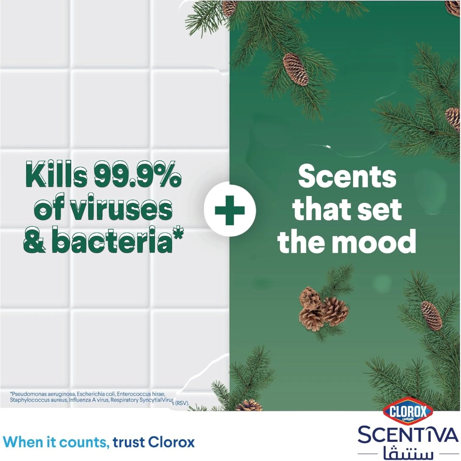 Clorox Scentiva Disinfectant Floor Cleaner 4.5L – Mediterranean Pine Forest Scent | Kills 99.9% of Viruses & Bacteria | Bleach-Free Multi-Surface Cleaner - Damoo