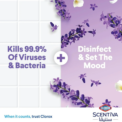 Clorox Scentiva Disinfectant Floor Cleaner – Tuscan Lavender Scent, 1.5L – Bleach-Free & Kills 99.9% of Germs - Damoo