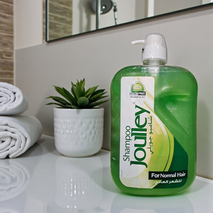 Joulley Shampoo 2 Liter (2000ml) – Paraben Free Family Size Shampoo for Daily Hair Care - Damoo